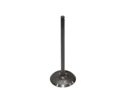 Bronco Steel Intake Valve