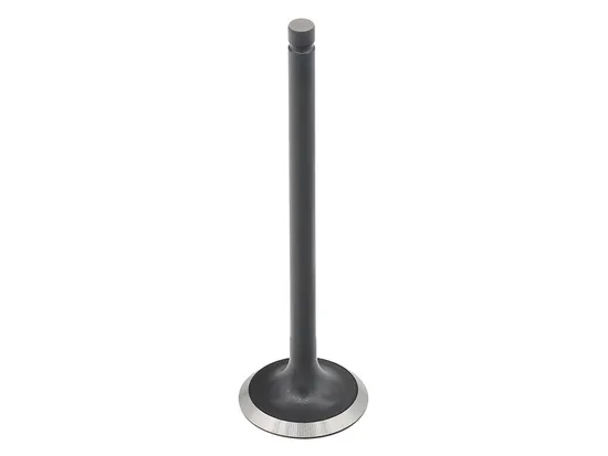 Bronco Exhaust Valve 1