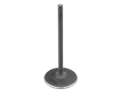 Bronco Steel Intake Valve