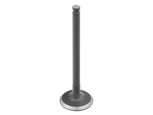 Bronco Steel Intake Valve