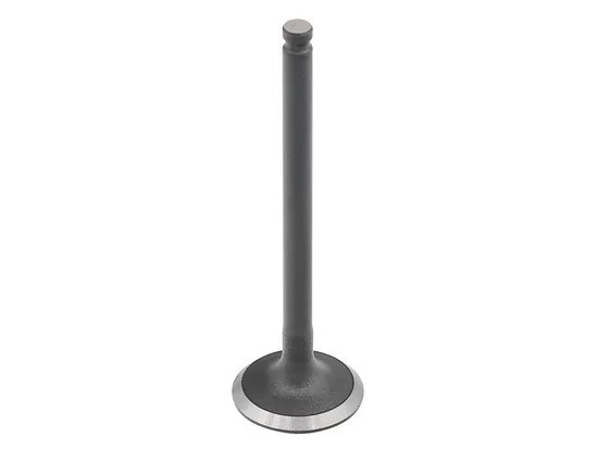 Bronco Steel Intake Valve
