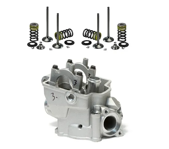 Cylinder Head With Stainless Valves Spring Kit for 1