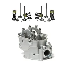 Cylinder Head With Stainless Valves Spring Kit for