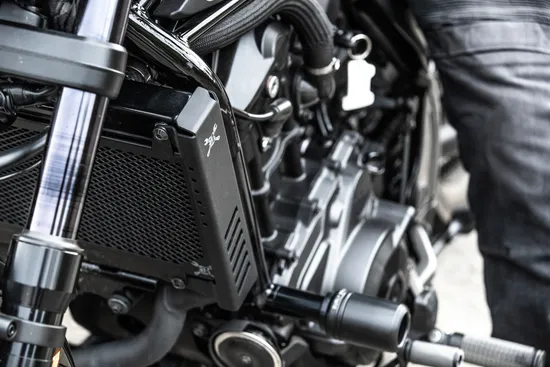 Burly Black Powder Coated Slash Cut Radiator Grill Guard