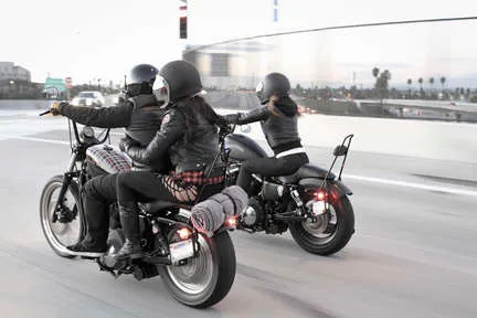 Burly Black Steel 13in Sissy Bar