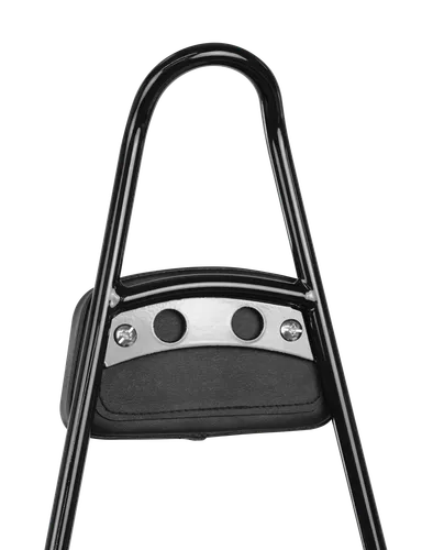 Burly Black Powder Coated Steel 20in Sissy Bar w Pad