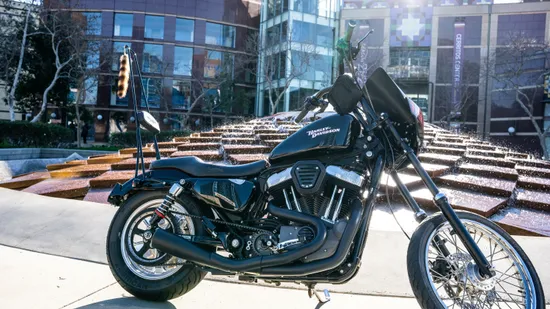 Burly 40in Black Steel Stupid Tall Sissy Bar