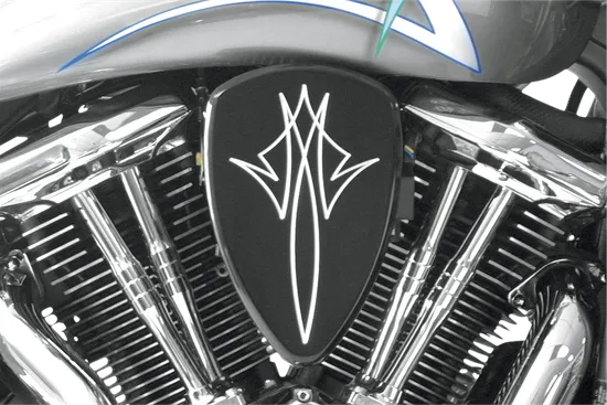 Baron Pinstripe Big Air Kit Cleaner Filter Assembly Black Washable