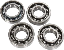 Hot Rods Counter Balancer Bearing Kit