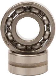 Hot Rods Counter Balancer Bearing Kit