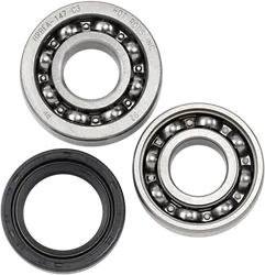 Hot Rods Counter Balancer Bearing Kit