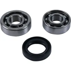 Hot Rods Counter Balancer Bearing Kit