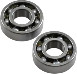 Hot Rods Counter Balancer Bearing Kit