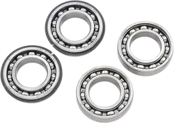 Hot Rods Counter Balancer Bearing Kit