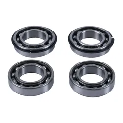 Hot Rods Counter Balancer Bearing Kit
