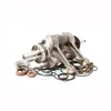 Hot Rods Crank Shaft Bottom End Rebuild Kit for
