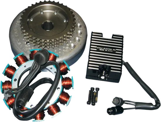 Cycle Electric 20A Charging System 1