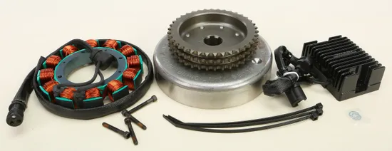 Cycle Electric 27A Charging System