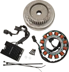 Cycle Electric 27A Charging System