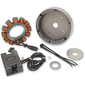 Cycle Electric 29A Charging System