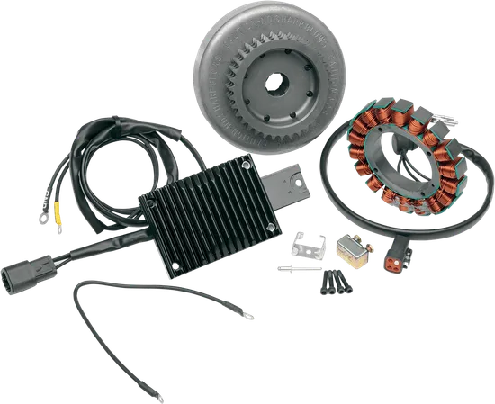 Cycle Electric 30A Charging System 1