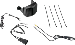 Cycle Electric Voltage Regulator Rectifier