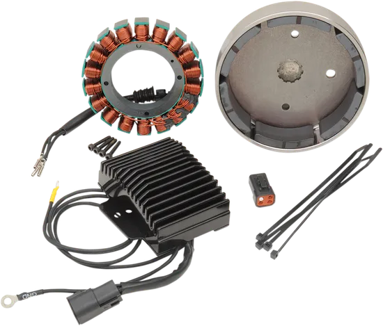 Cycle Electric 38A Charging System