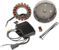 Cycle Electric 38A Charging System