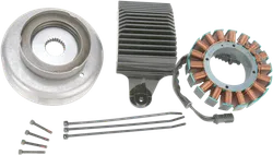 Cycle Electric 50A Charging System