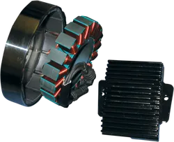 Cycle Electric 50A Charging System