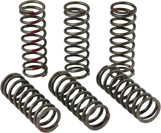 Pro Circuit High Performance Clutch Spring Set