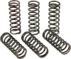 Pro Circuit High Performance Clutch Spring Set