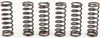 Pro Circuit High Performance Clutch Spring Set