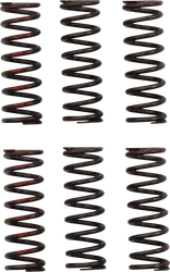 Pro Circuit High Performance Clutch Spring Set