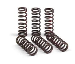 Pro Circuit High Performance Clutch Spring Set