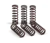 Pro Circuit High Performance Clutch Spring Set