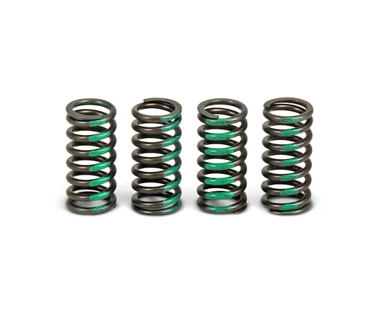 Pro Circuit High Performance Clutch Spring Set