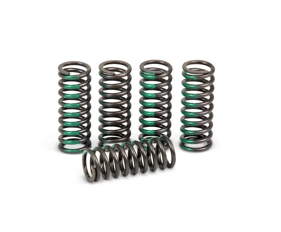 Pro Circuit High Performance Clutch Spring Set
