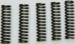 EBC Redline Heavy Duty Clutch Spring Set