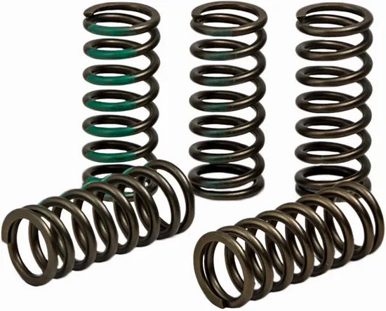Pro Circuit High Performance Clutch Spring Set
