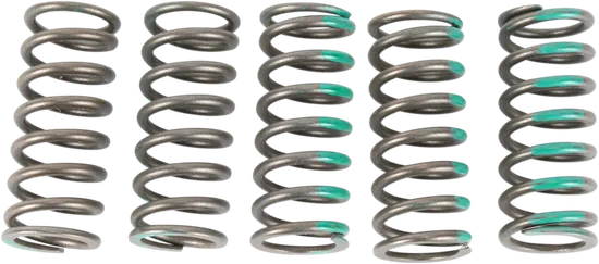 Pro Circuit High Performance Clutch Spring Set