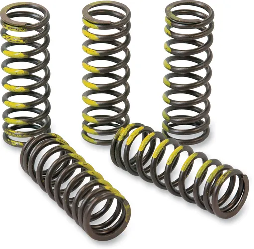 Pro Circuit High Performance Clutch Spring Set