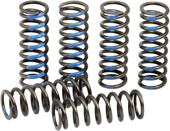 Pro Circuit High Performance Clutch Spring Set