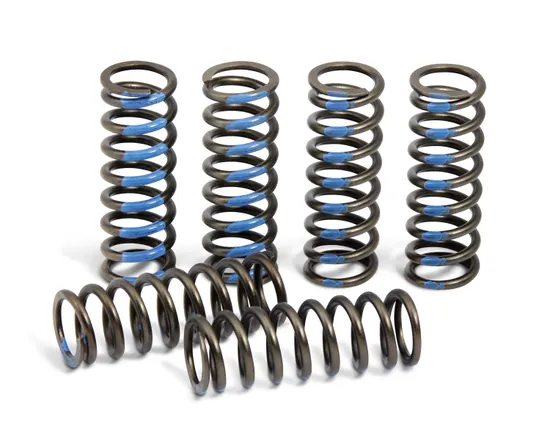 Pro Circuit High Performance Clutch Spring Set