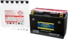 Fire Power Maintenance Free 12V Battery YT9B-BS