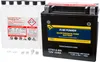 Fire Power Maintenance Free 12V Battery CTX14-BS