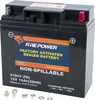 Fire Power Factory Sealed 12V Battery YTX14H-BS