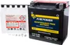Fire Power Maintenance Free 12V Battery
