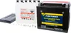 Fire Power Maintenance Free 12V Battery CTX19-BS