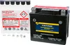 Fire Power Maintenance Free 12V Battery CTX5L-BS